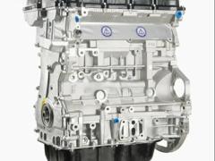 G4KE 2.4L Long Bare Petrol Engine